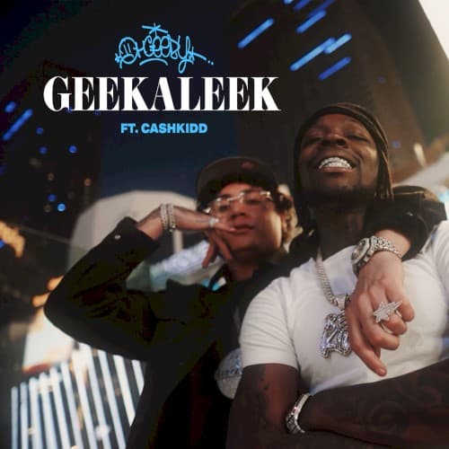 GEEKALEEK cover