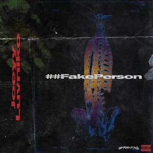 Fake Person cover
