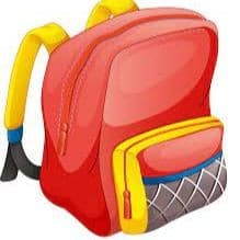 bag it cover