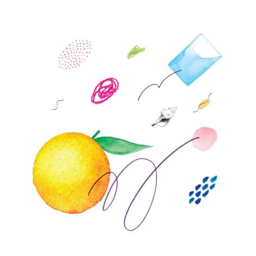 Oranges / Daniels cover