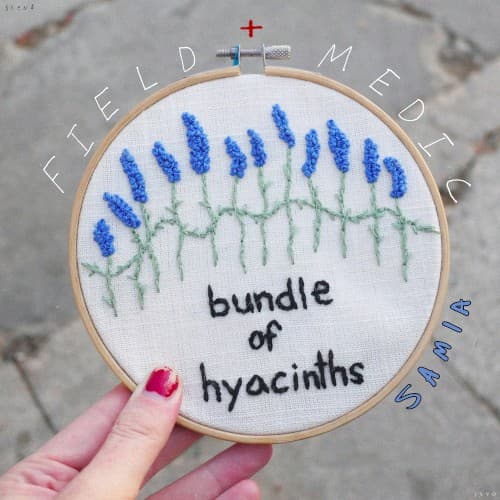 bundle of hyacinths cover
