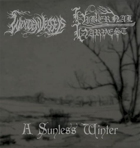 A Sunless Winter album cover