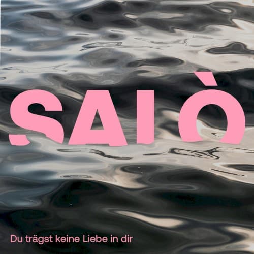 Du trägst keine Liebe in dir cover