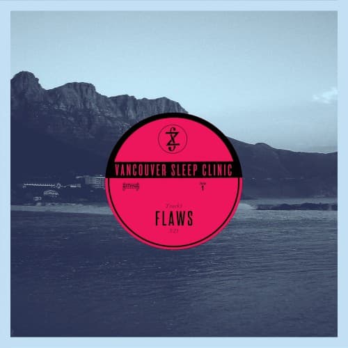 Flaws cover