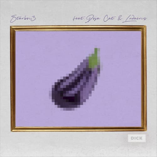 Dick cover