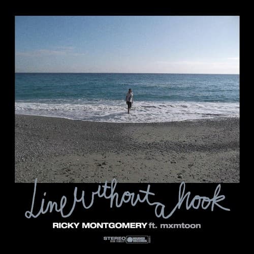 Line Without a Hook cover