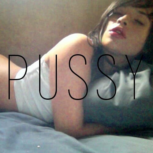 Pussy cover