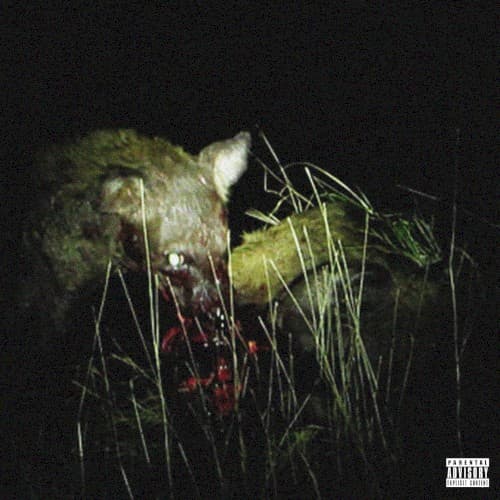 Animals Eating Other Animals cover