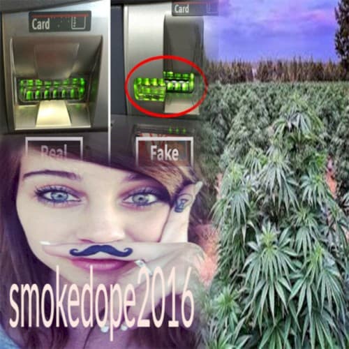 SPAZZO cover