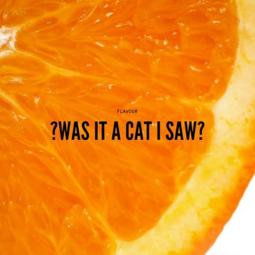 ?Was It A Cat I SaW? cover