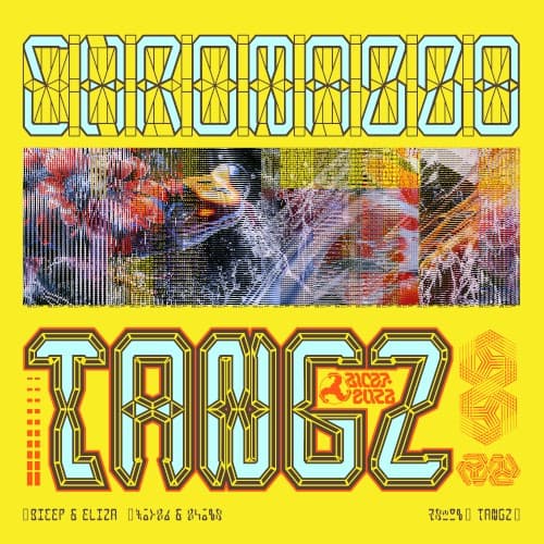 CHROMA 008 TANGZ cover