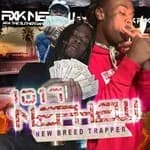 Slitherman Dedication Vol. 4: 1017 Nephew cover