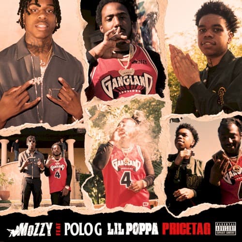 Pricetag cover