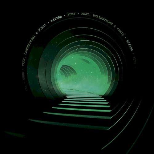Numb cover