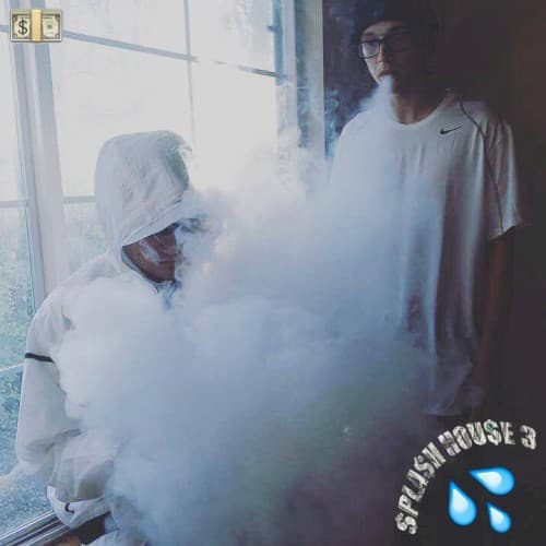 $pla$h Hou$e 3 cover