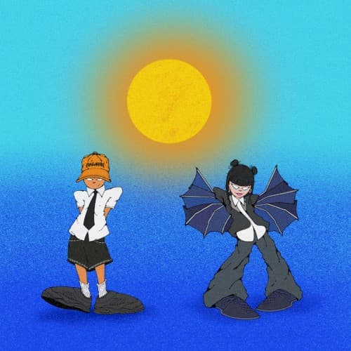 Light cover