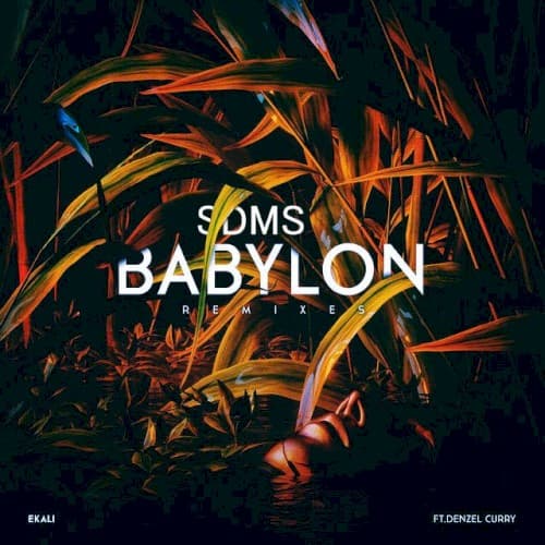 Babylon (SDMS remix) cover