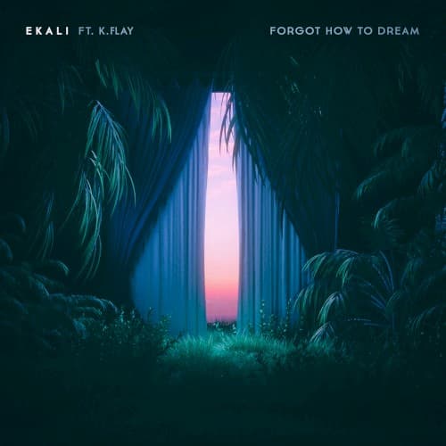Forgot How To Dream cover