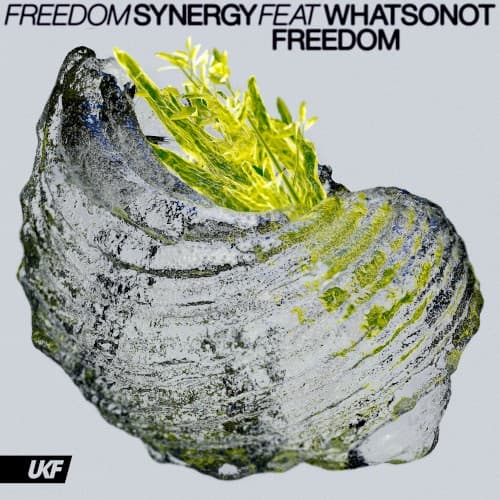 Freedom cover