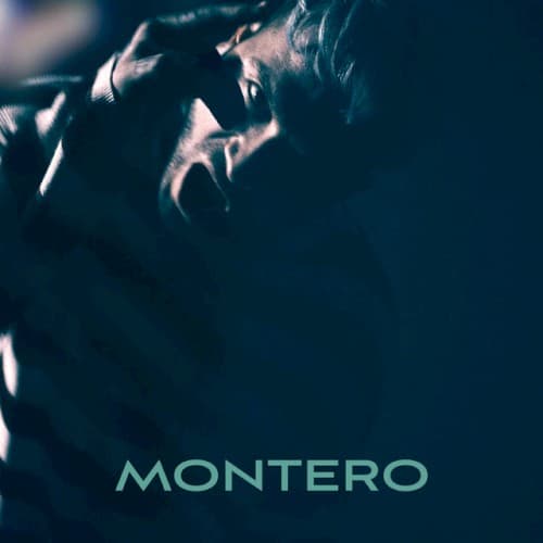 MONTERO (Call Me By Your Name) cover