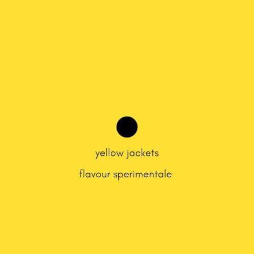 Yellow Jackets cover
