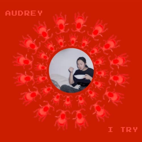 I Try cover