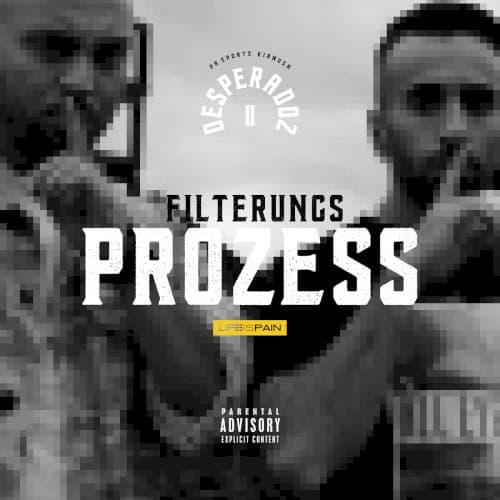 Filterungsprozess cover