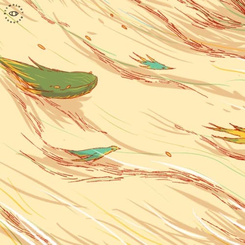 cloudnap cover