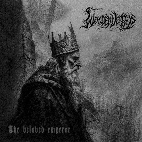 The Beloved Emperor cover
