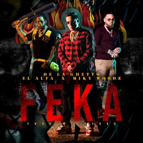 FEKA cover