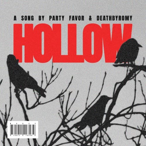Hollow cover