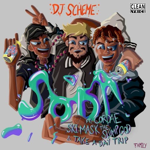 Soda cover