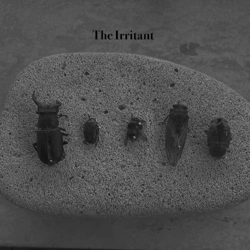 The Irritant cover