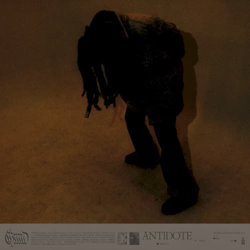 Antidote cover