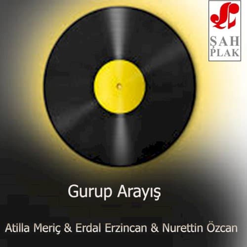 Gurup Arayış cover