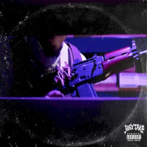 BIRDIES cover