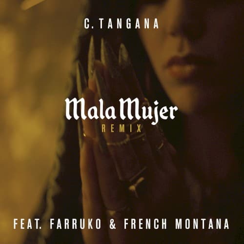 Mala Mujer (remix) cover