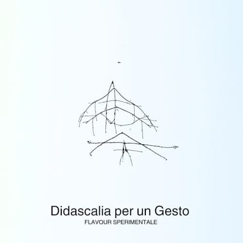 Didascalia per un Gesto cover