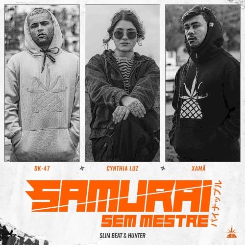 Samurai sem mestre cover