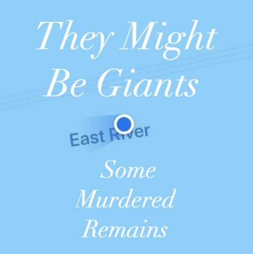 Some Murdered Remains cover
