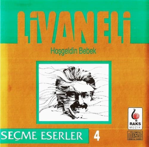 Hoşgeldin Bebek cover