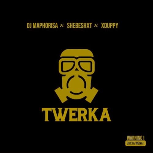 Twerka cover