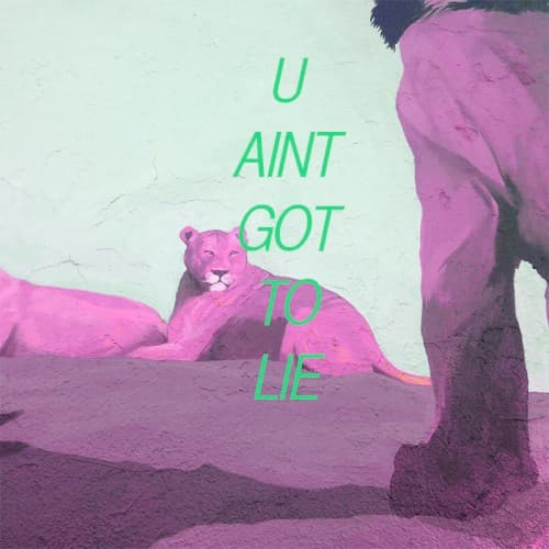 U Ain't Got to Lie cover