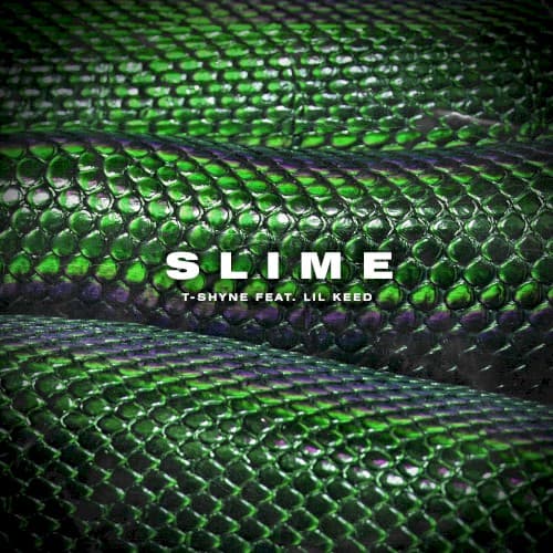 Slime cover
