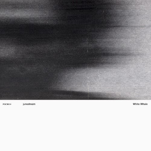 White Whale cover