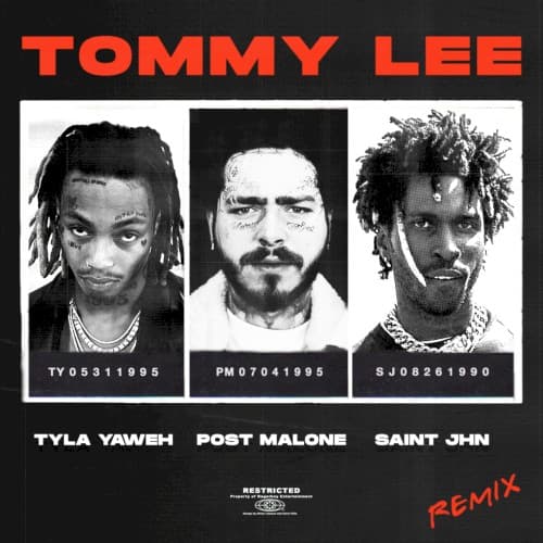 Tommy Lee (remix) cover
