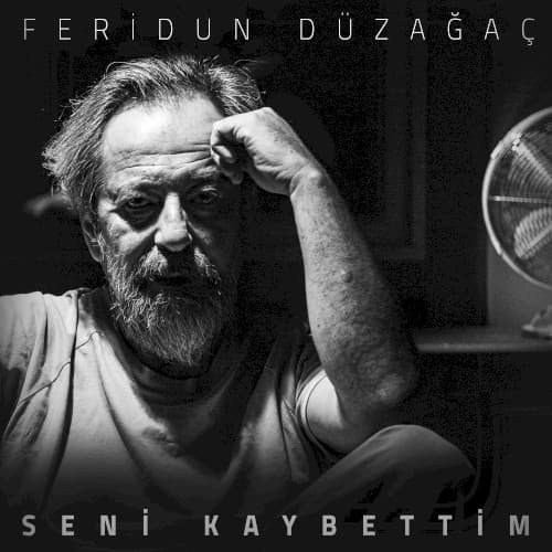 Seni Kaybettim cover