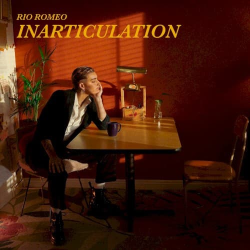 Inarticulation cover