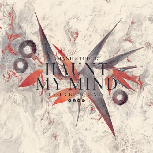 Haunt My Mind (LAZER BUCK remix) cover