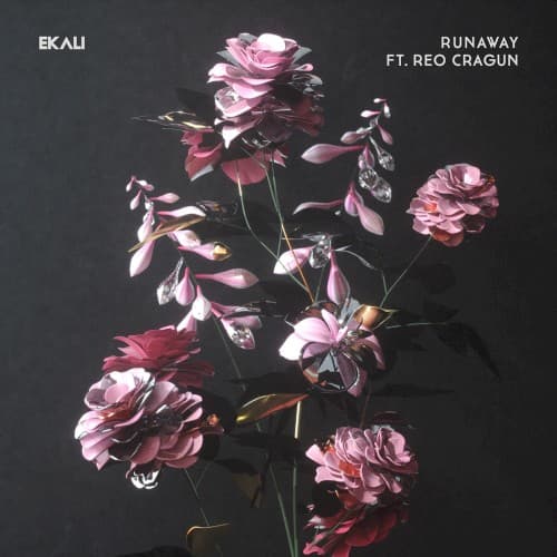 Runaway cover
